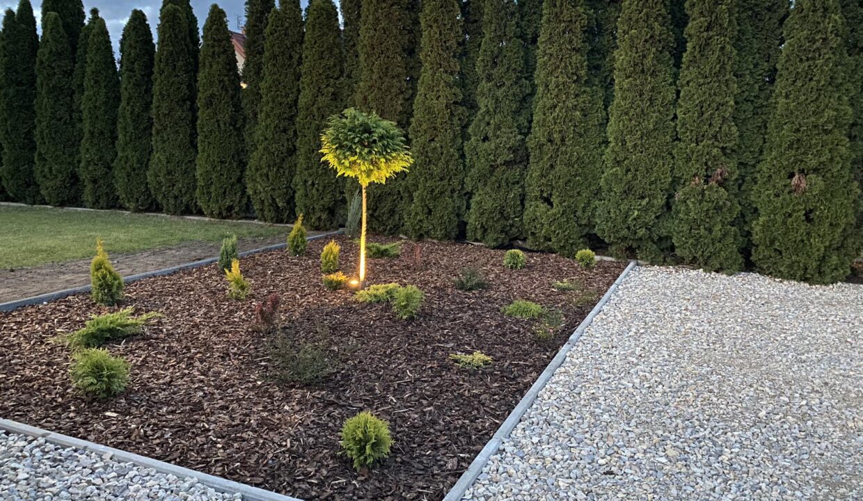 368516712_252330887784623_827724763761910126_n