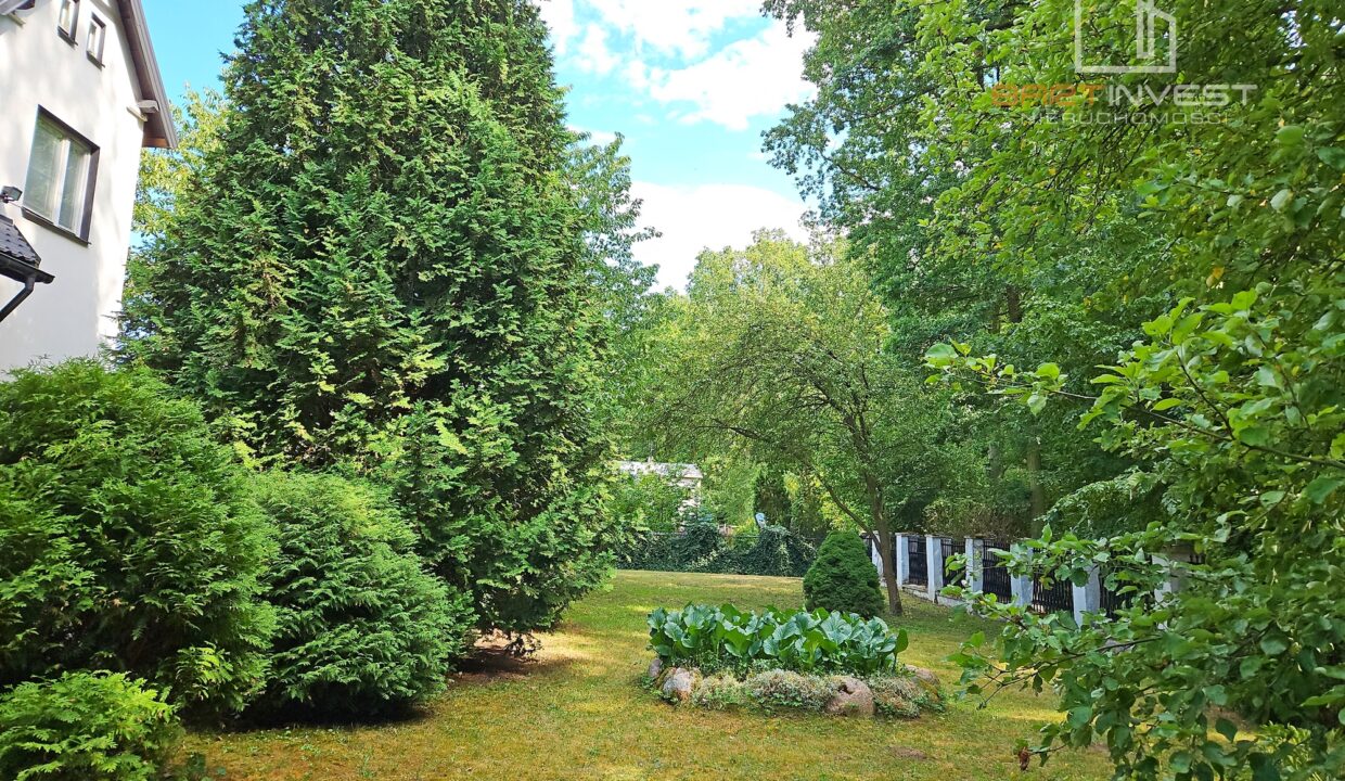 IMG_20230721_153855 2