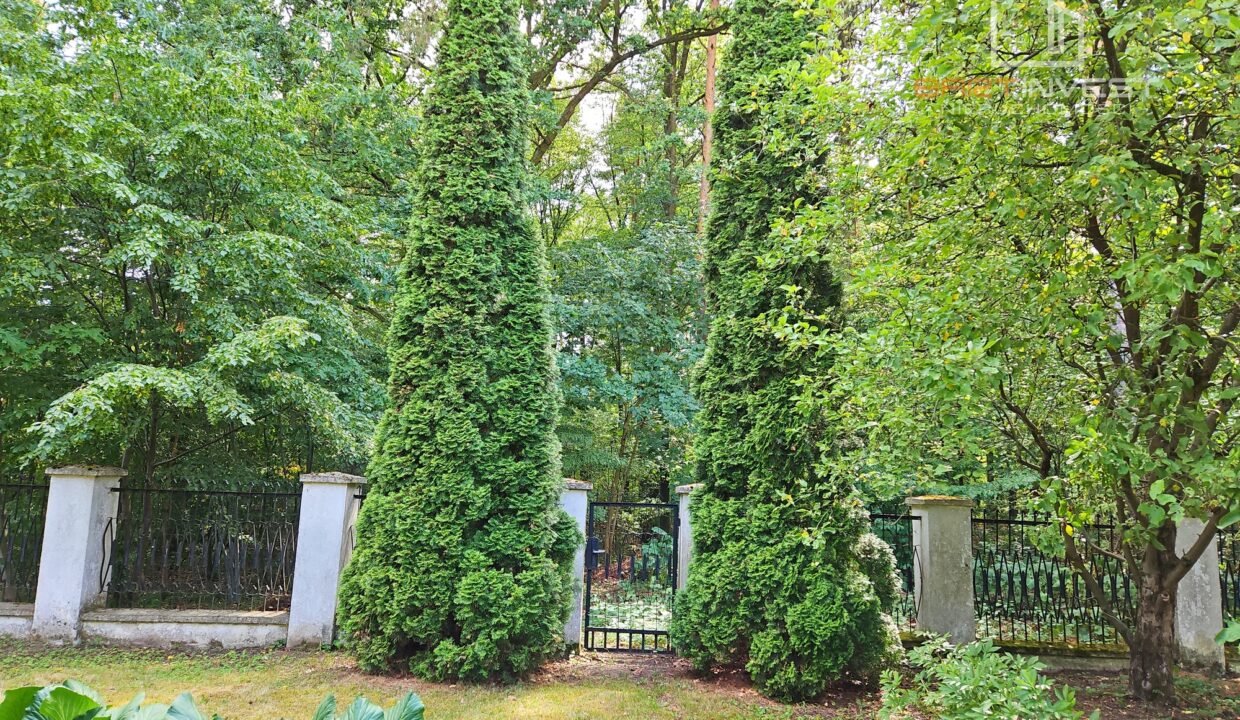 IMG_20230721_153934 2