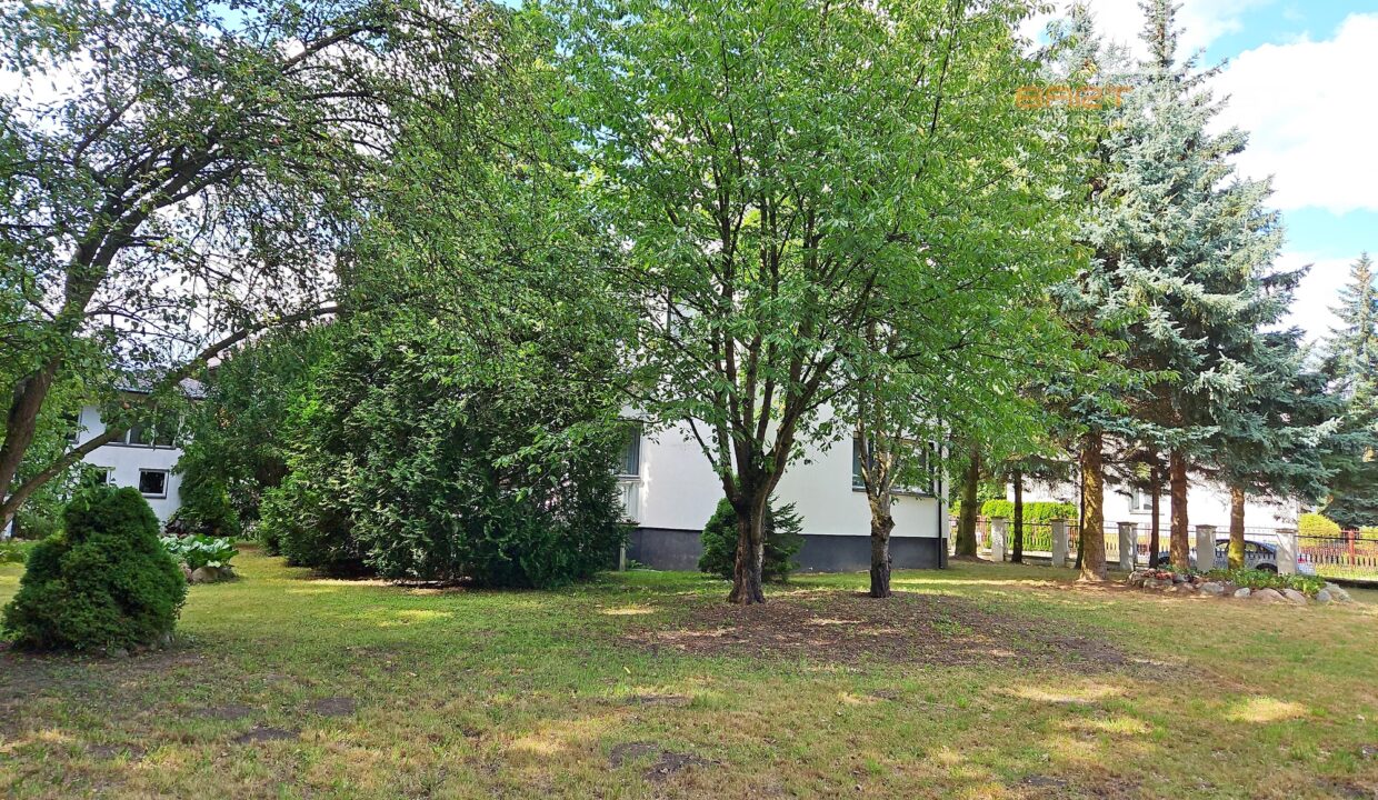 IMG_20230721_154019 2